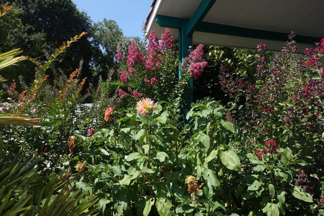 L Annexe Bed and Breakfast Biscarrosse Εξωτερικό φωτογραφία